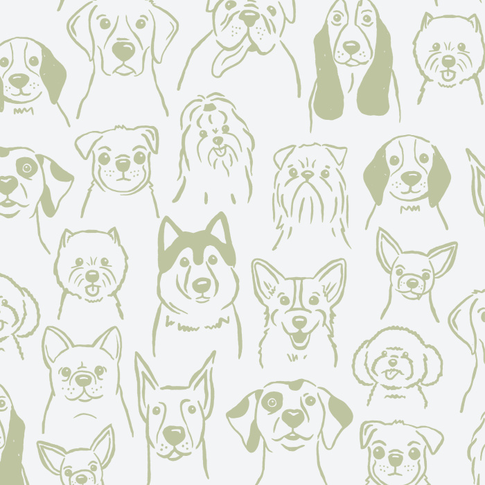 Get your daily dose of oxytocin with our cute and fluffy Puppy Dogs Peel And Stick Removable Wallpaper!