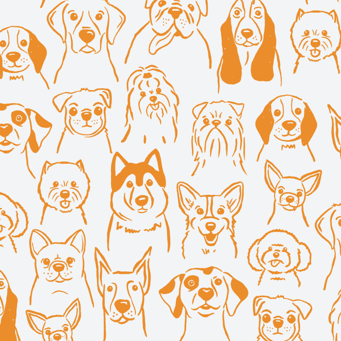 Get your daily dose of oxytocin with our cute and fluffy Puppy Dogs Peel And Stick Removable Wallpaper!