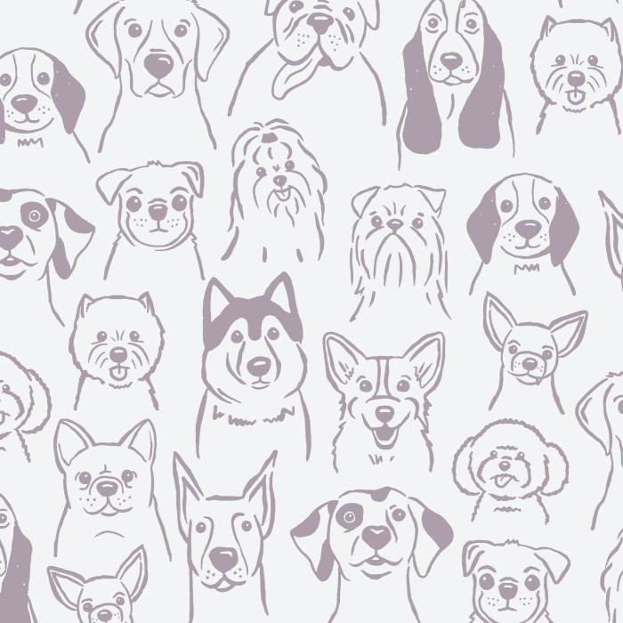 Get your daily dose of oxytocin with our cute and fluffy Puppy Dogs Peel And Stick Removable Wallpaper!