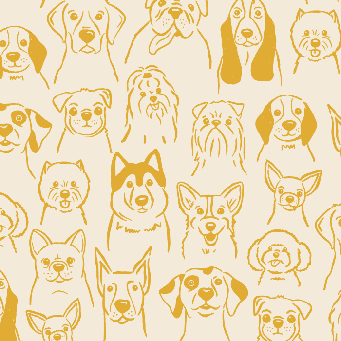 Get your daily dose of oxytocin with our cute and fluffy Puppy Dogs Peel And Stick Removable Wallpaper!