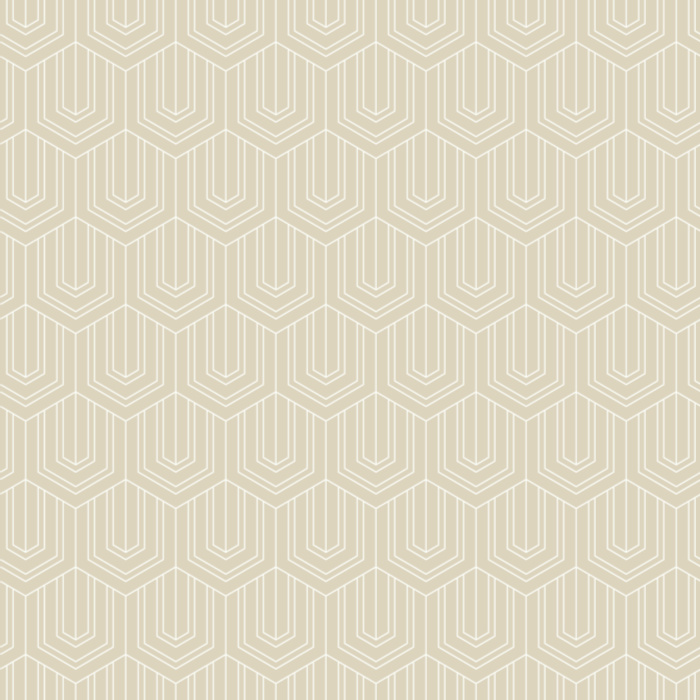 The modern look of our Mod Honeycomb peel and stick removable wallpaper is sure to make a statement on any wall in your home!