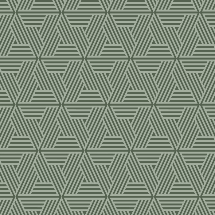 Add an eye-catching design to any wall in your home with our Lined Triangles peel and stick removable wallpaper.