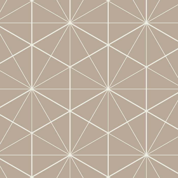 The Hexagon Tiles peel and stick removable wallpaper with its intricate lines that criss-cross to form a hexagonal pattern adds sophistication to any room you won't find anywhere else. Pick your colors instantly online.