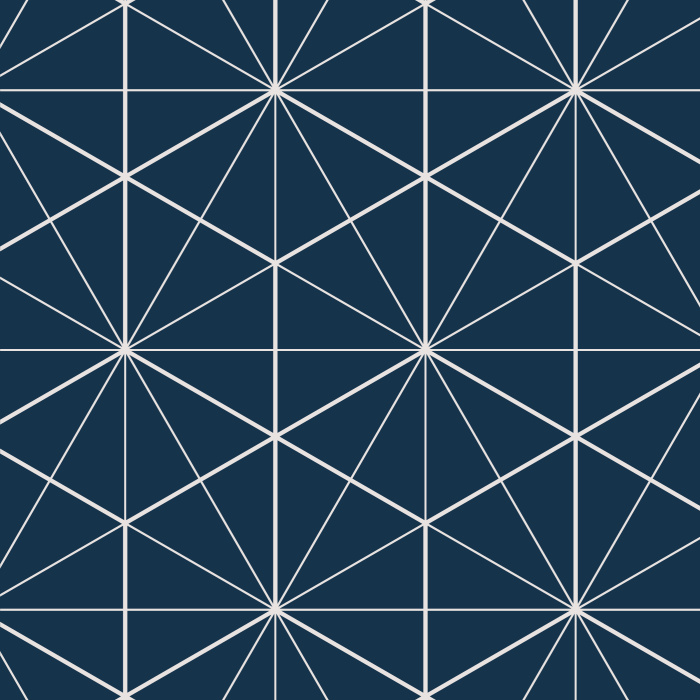 The Hexagon Tiles peel and stick removable wallpaper with its intricate lines that criss-cross to form a hexagonal pattern adds sophistication to any room you won't find anywhere else.  Pick your colors instantly online.