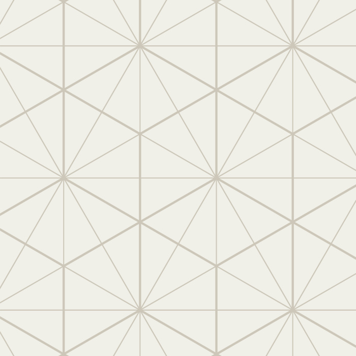 The Hexagon Tiles peel and stick removable wallpaper with its intricate lines that criss-cross to form a hexagonal pattern adds sophistication to any room you won't find anywhere else.  Pick your colors instantly online.