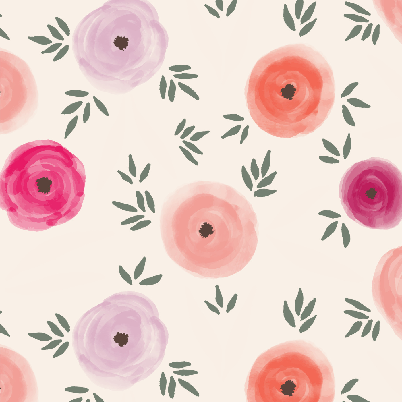 pink ranunculus wallpaper