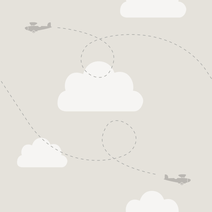 Create the room of your child's dreams with our Flying Planes Peel And Stick Removable Wallpaper.