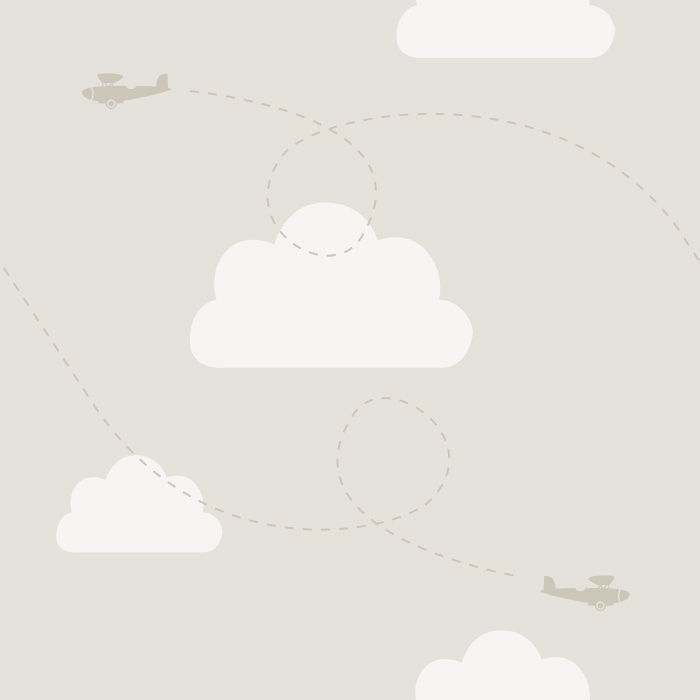 Create the room of your child's dreams with our Flying Planes Peel And Stick Removable Wallpaper.