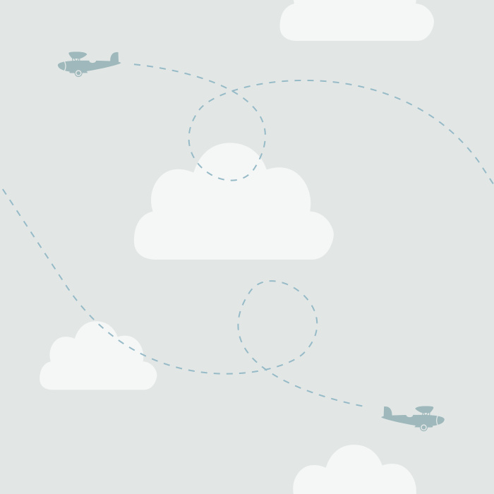 Create the room of your child's dreams with our Flying Planes Peel And Stick Removable Wallpaper.