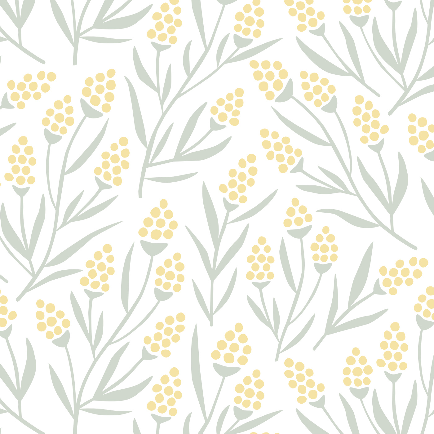 Mahonia Blossoms Wallpaper