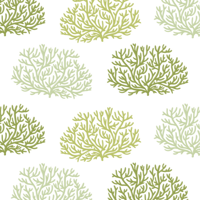 Our Sea Coral Peel And Stick Removable Wallpaper bring the feel of a tropical oasis to any room of your home.