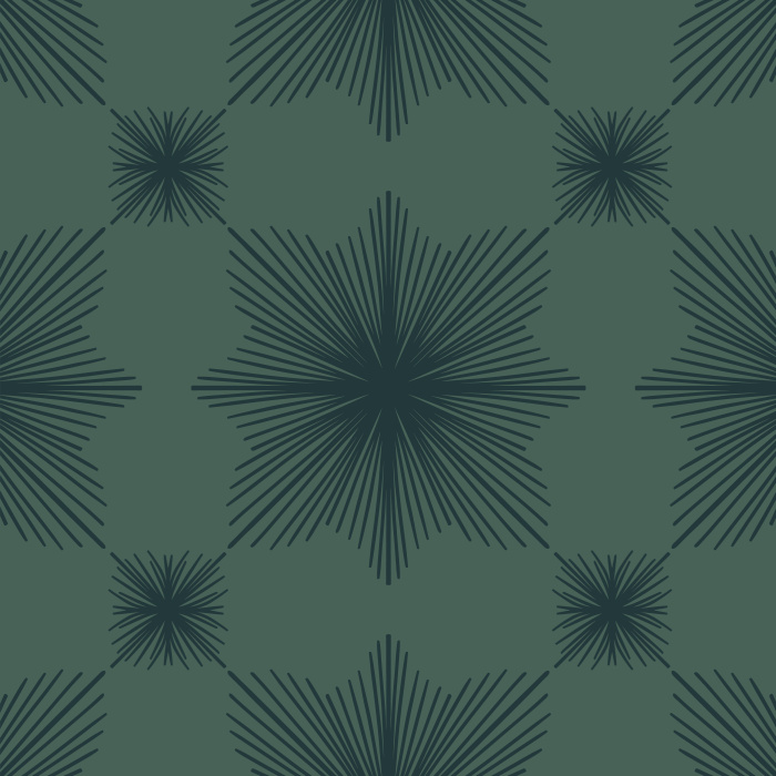 Make a statement on any wall in your home with our Vintage Bursts Peel And Stick Removable Wallpaper.