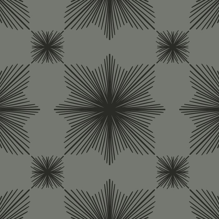 Make a statement on any wall in your home with our Vintage Bursts Peel And Stick Removable Wallpaper.
