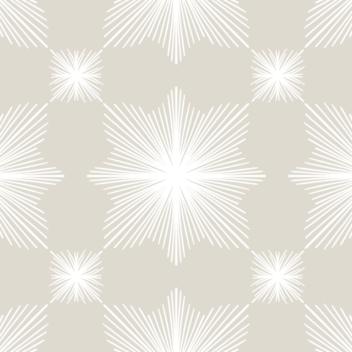 Make a statement on any wall in your home with our Vintage Bursts Peel And Stick Removable Wallpaper.