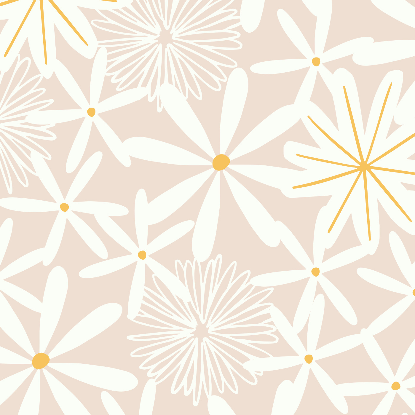 Daisy Love Wallpaper