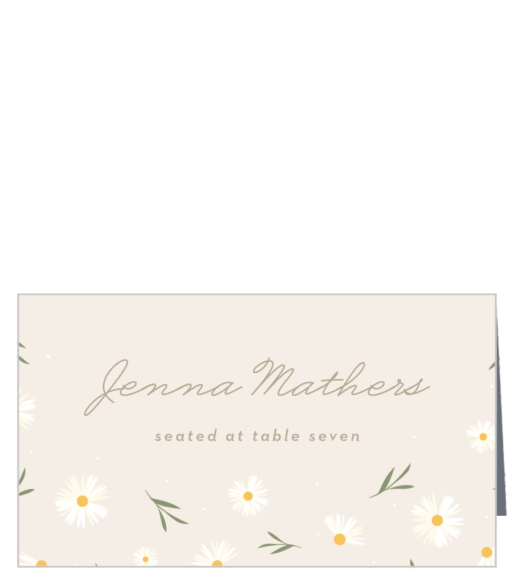 Falling Daisies Place Cards