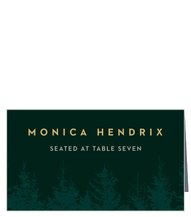 Our Mountain Spruce Place Cards guide your guests to their reception seats with ease.