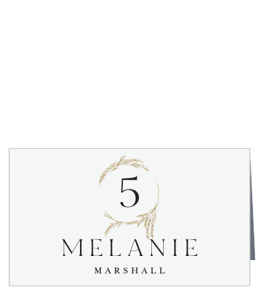 Looking Glass Place Cards