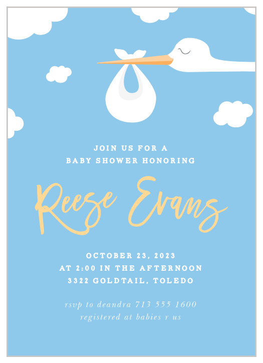 Have these storks deliver your baby shower details! Customize the colors and fonts and personalize it right online. See your changes instantly!
