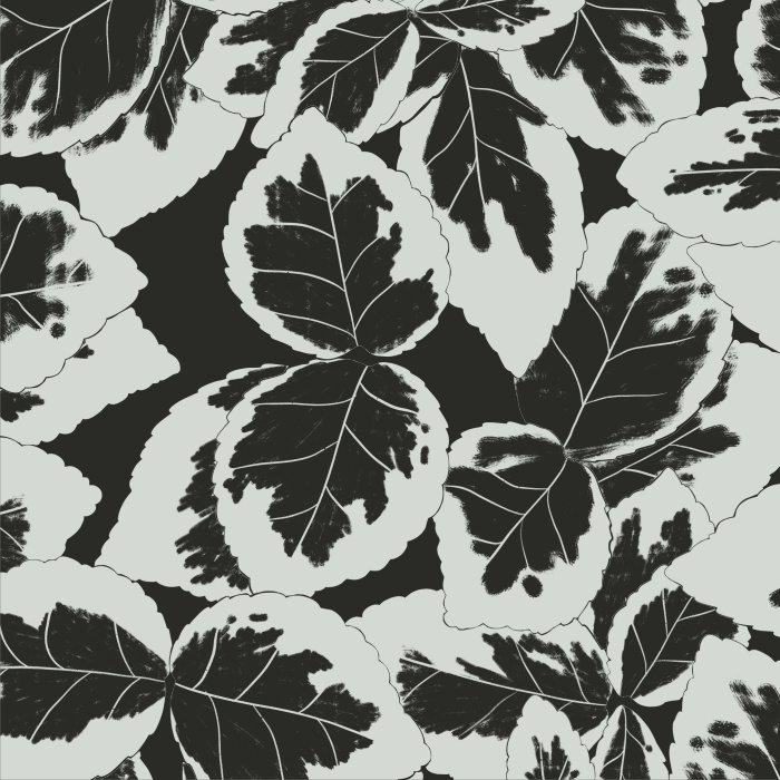 Add a nature-inspired look to any wall in your home with our Marjorie Channon Peel And Stick Removable Wallpaper. 