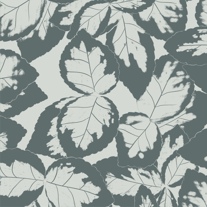 Add a nature-inspired look to any wall in your home with our Marjorie Channon Peel And Stick Removable Wallpaper. 