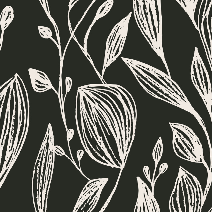 Black and White Peony Wallpaper  EazzyWalls