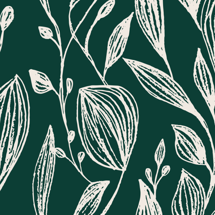 Forest Green Peel and Stick Removable Wallpaper | 2023 Designs Forest Green Peel and Stick Removable Wallpaper | 2023 Designs