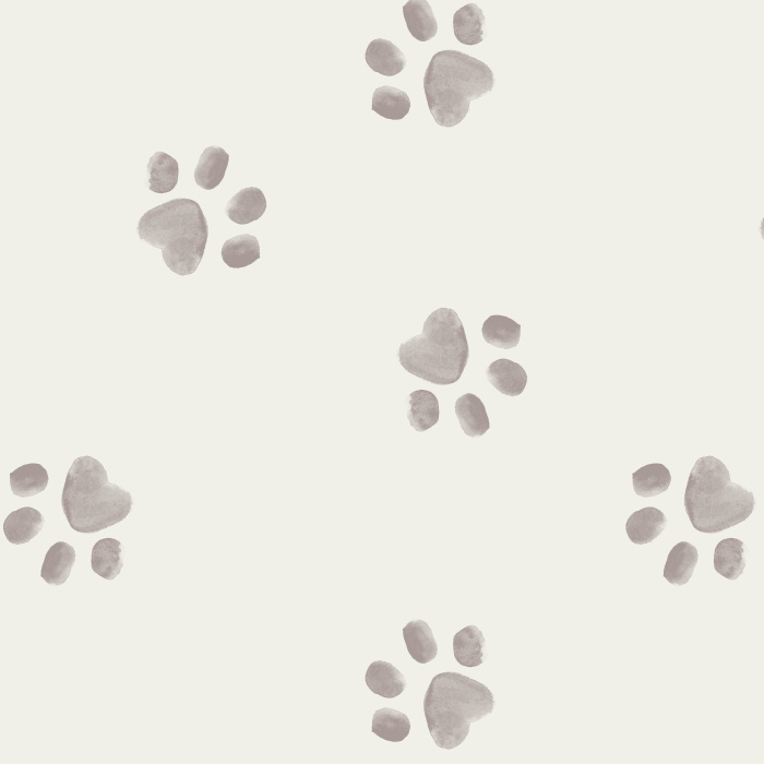 Dog lovers will not be able to resist the look of our Playful Paws Peel And Stick Removable Wallpaper!