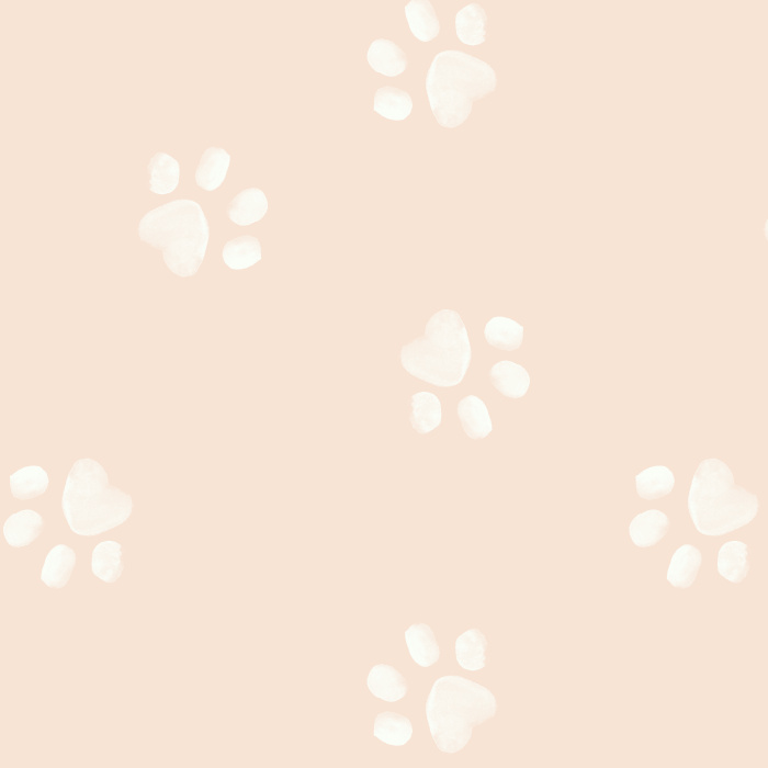 Dog lovers will not be able to resist the look of our Playful Paws Peel And Stick Removable Wallpaper!