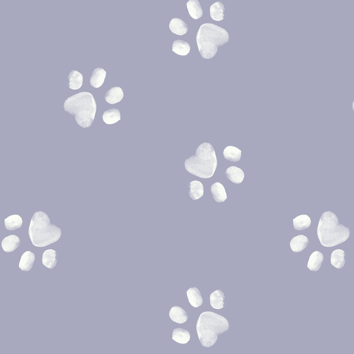 Dog lovers will not be able to resist the look of our Playful Paws Peel And Stick Removable Wallpaper!
