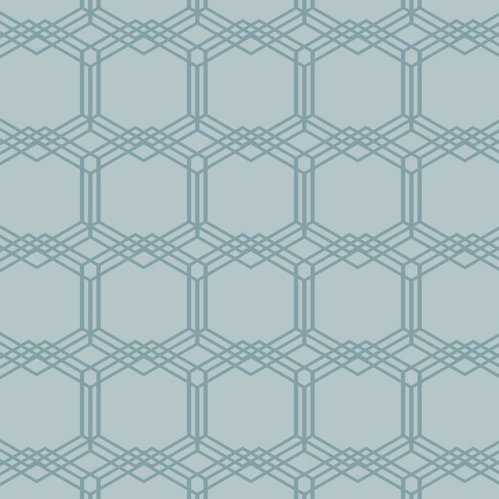 The Woven Hexagons Peel And Stick Removable Wallpaper will give your interior a modern look.
