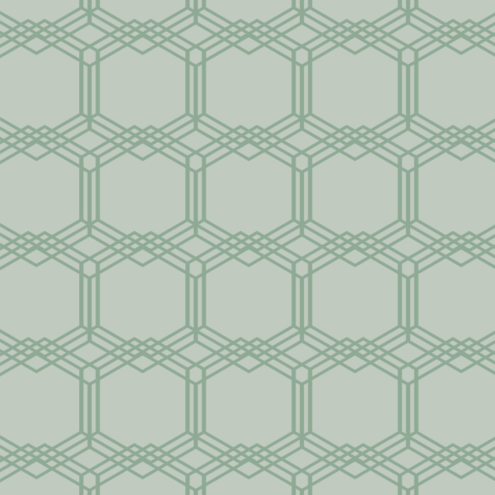 The Woven Hexagons Peel And Stick Removable Wallpaper will give your interior a modern look.