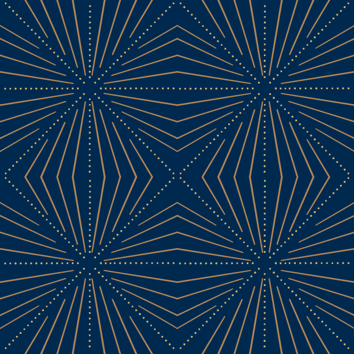 Navy Blue Peel and Stick Removable Wallpaper | 2023 Designs