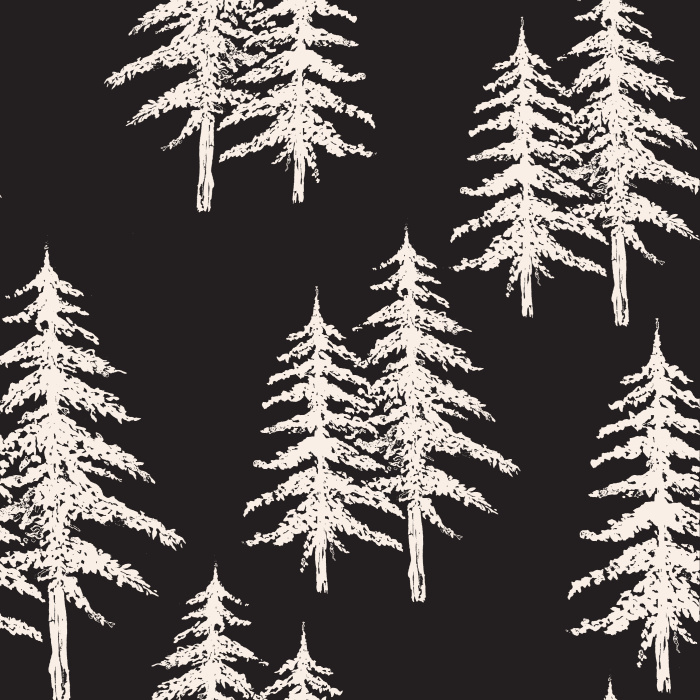 Our Pine Trees Peel And Stick Removable Wallpaper add a botanical touch to your walls.