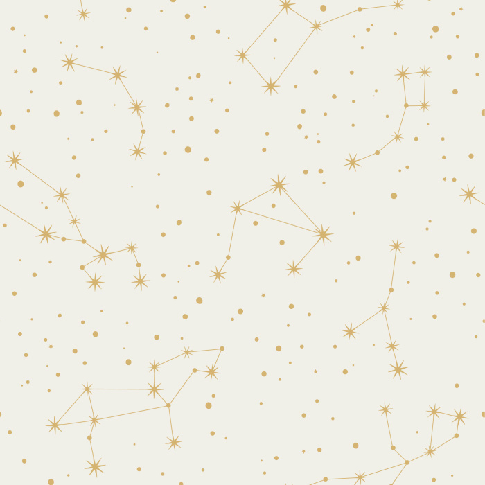 Add a starry night sky to any room in your house with our Celestial Constellations Peel And Stick Removable Wallpaper.