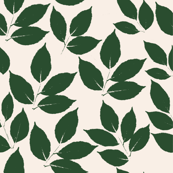Add a botanical touch to any wall in your home with our Elder Tree Peel And Stick Removable Wallpaper. 