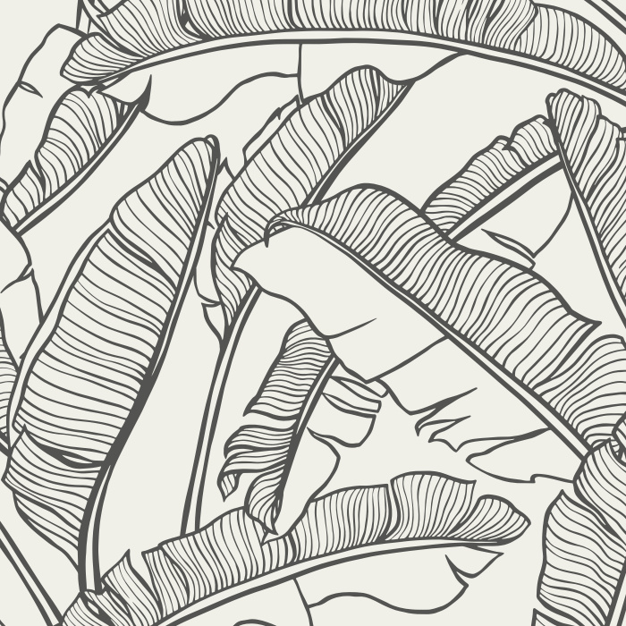 Create the perfect getaway in your own home with our Banana Leaves Wallpaper.