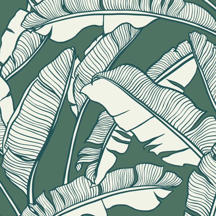Create the perfect getaway in your own home with our Banana Leaves Wallpaper.