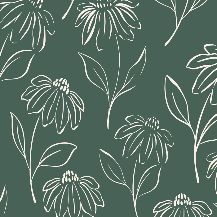 Add an accent wall of gorgeous florals to any room in your home with our Sketchy Cosmos Peel And Stick Removable Wallpaper!