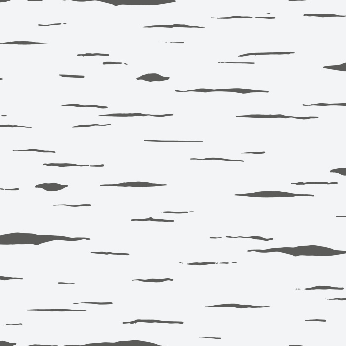 Create a cabin-in-the-woods feel in any room in your home with our Delicate Birch Peel and Stick Wallpaper.