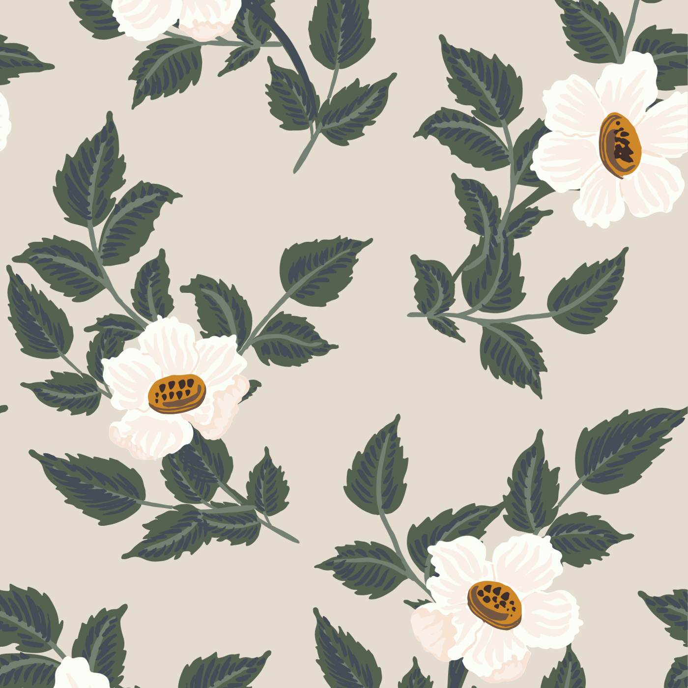 Vintage Anemone Blooms Wallpaper