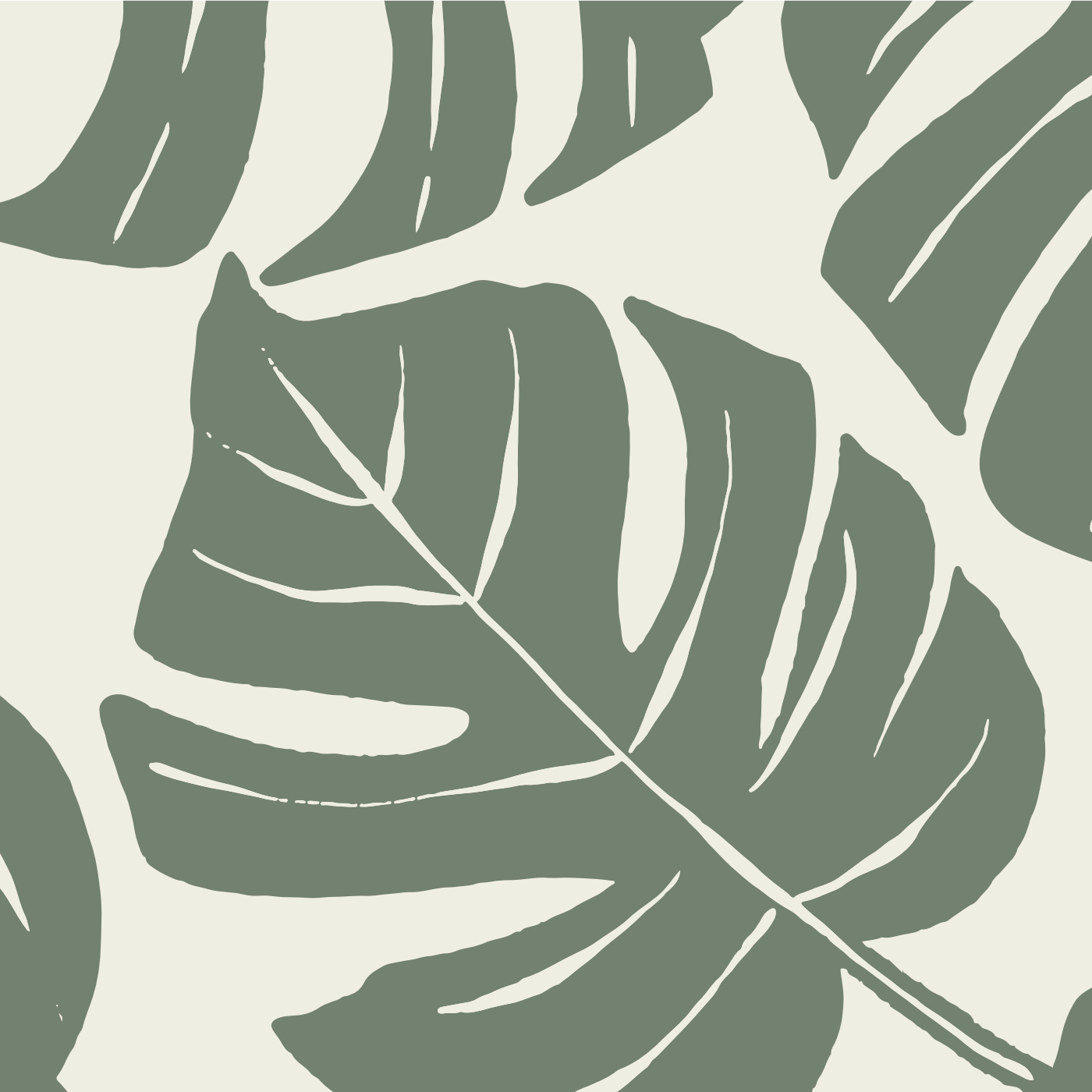 Philodendron Print Wallpaper