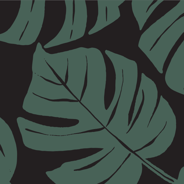 Create an at-home getaway with our Philodendron Print Print Peel and Stick Wallpaper. 