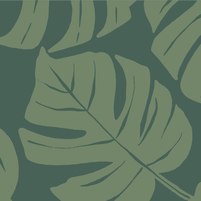 Create an at-home getaway with our Philodendron Print Print Peel and Stick Wallpaper. 