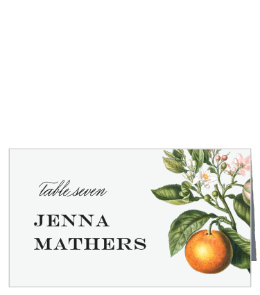 Your guests will easily be able to spot their seats with the help of our Citrus Celebration Place Cards.