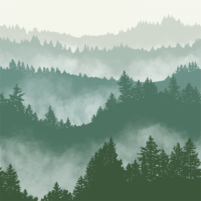 Create the illusion of adventurous view on any wall in your home with our Misty Mountain Peel and Stick Wallpaper. 