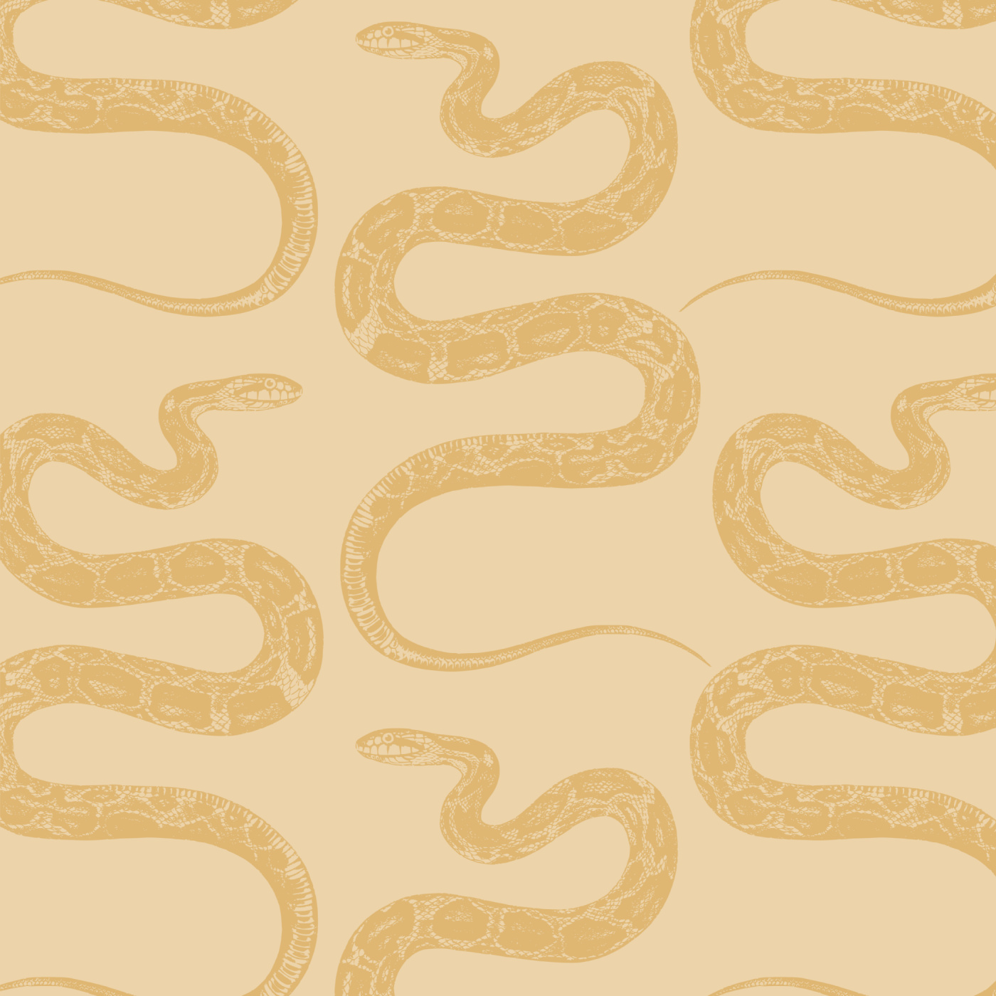 Mirrored Snakes Peel and Stick Wallpaper | Love vs. Design