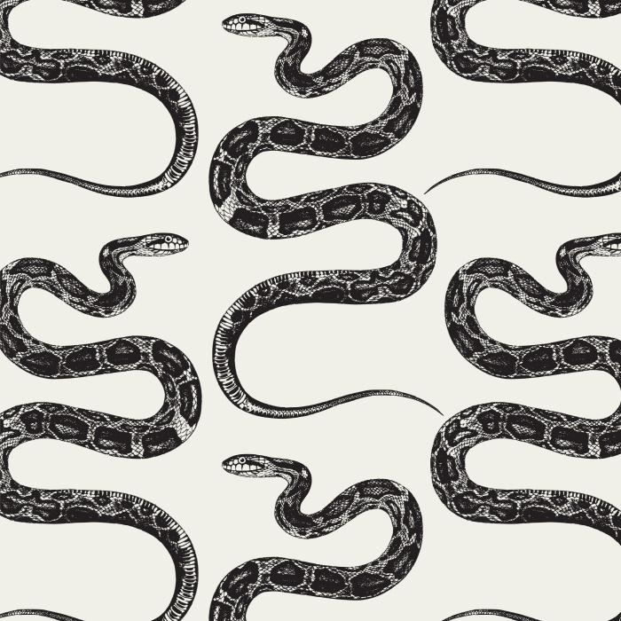 Create a stunningly serpentine look with our Mirrored Snakes Peel and Stick Wallpaper.