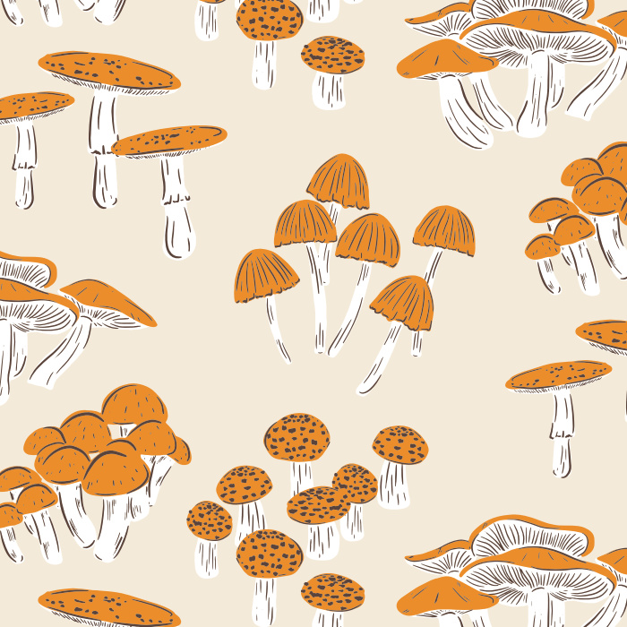 Create a truly unique space with our Mushroom Study Peel and Stick Wallpaper.