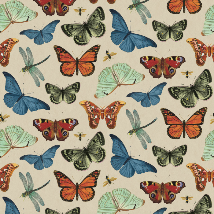 Bring out your inner entomologist when you add our Vintage Butterfly Peel and Stick Wallpaper to any room in your home.
